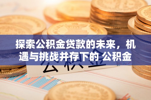 利州探索公积金贷款的未来，机遇与挑战并存下的 公积金贷款风险防控