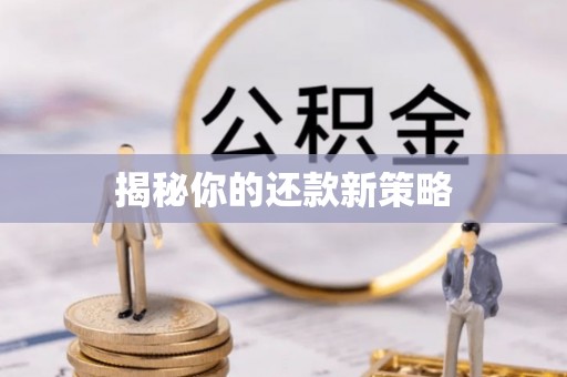 利州揭秘你的还款新策略