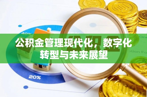 利州公积金管理现代化，数字化转型与未来展望