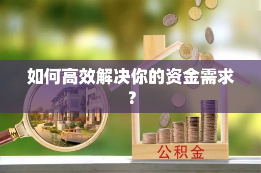 利州如何高效解决你的资金需求？