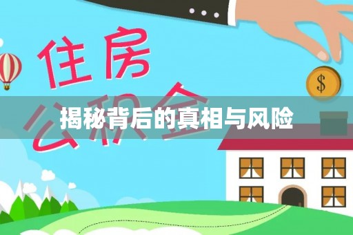 利州揭秘背后的真相与风险