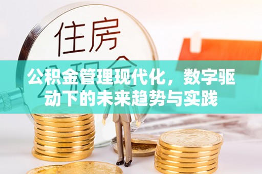 利州公积金管理现代化，数字驱动下的未来趋势与实践