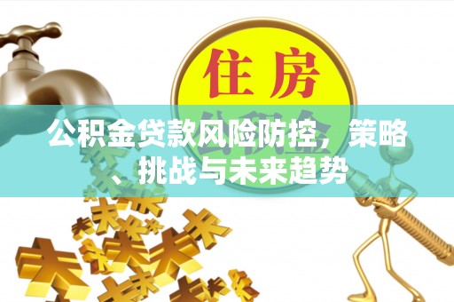 利州公积金贷款风险防控，策略、挑战与未来趋势