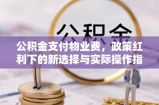 利州公积金支付物业费，政策红利下的新选择与实际操作指南