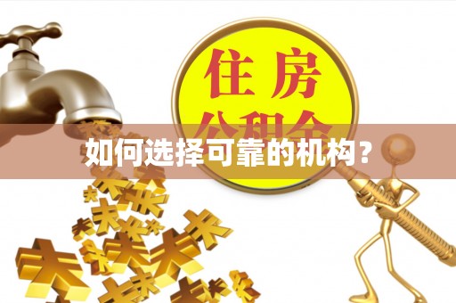 利州如何选择可靠的机构？