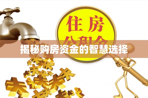 利州揭秘购房资金的智慧选择
