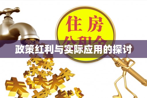 利州政策红利与实际应用的探讨