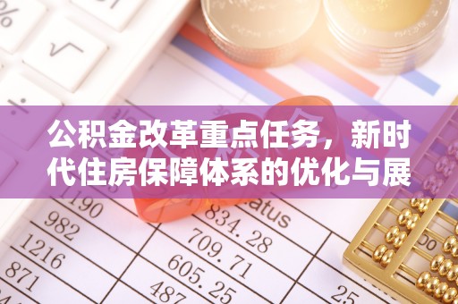 利州公积金改革重点任务，新时代住房保障体系的优化与展望