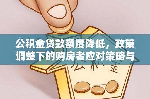 利州公积金贷款额度降低，政策调整下的购房者应对策略与未来趋势