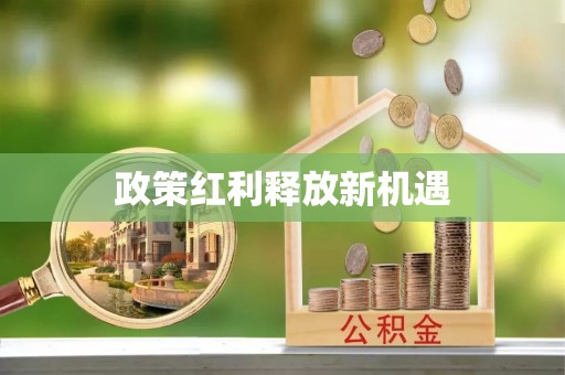 利州政策红利释放新机遇