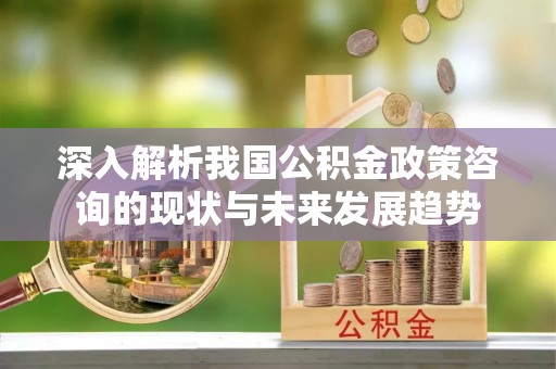利州深入解析我国公积金政策咨询的现状与未来发展趋势