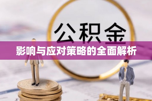 利州影响与应对策略的全面解析