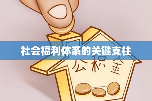利州社会福利体系的关键支柱