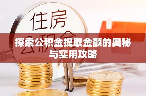 利州探索公积金提取金额的奥秘与实用攻略