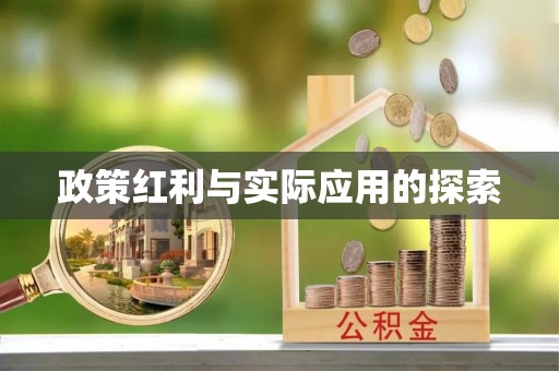 利州政策红利与实际应用的探索