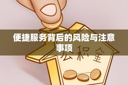 利州便捷服务背后的风险与注意事项