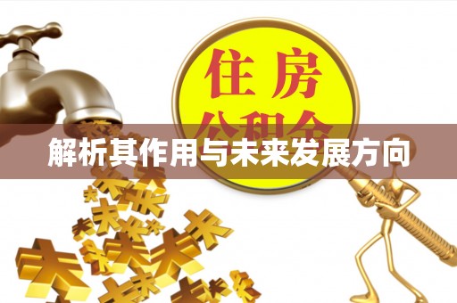 利州解析其作用与未来发展方向