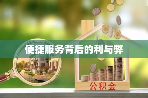 利州便捷服务背后的利与弊