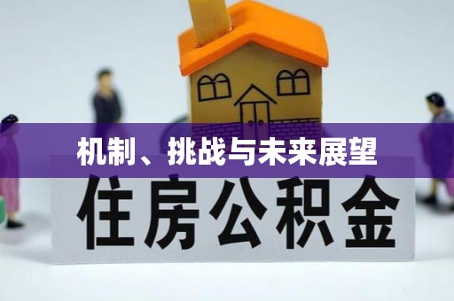 利州机制、挑战与未来展望