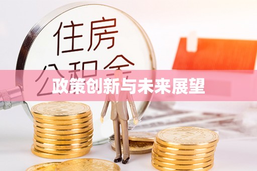 利州政策创新与未来展望
