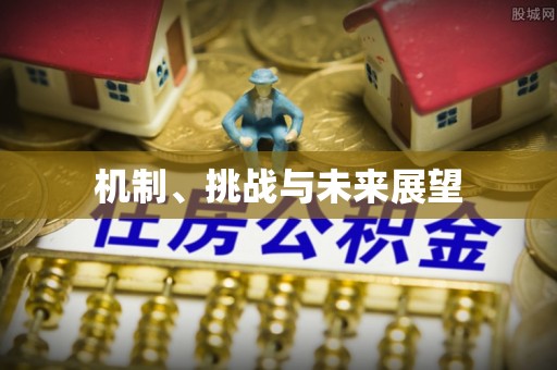 利州机制、挑战与未来展望