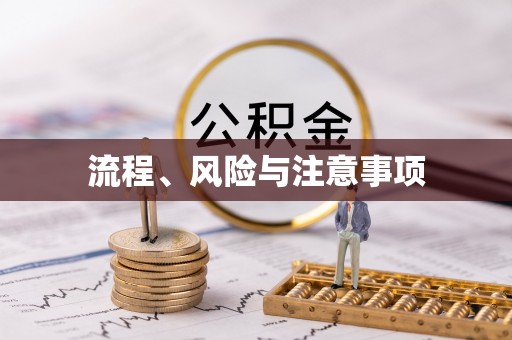 利州流程、风险与注意事项