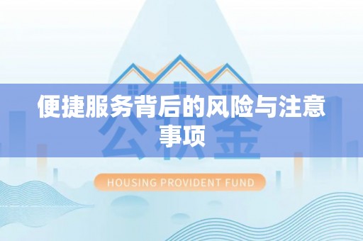 利州便捷服务背后的风险与注意事项