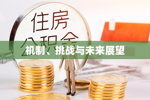 利州机制、挑战与未来展望